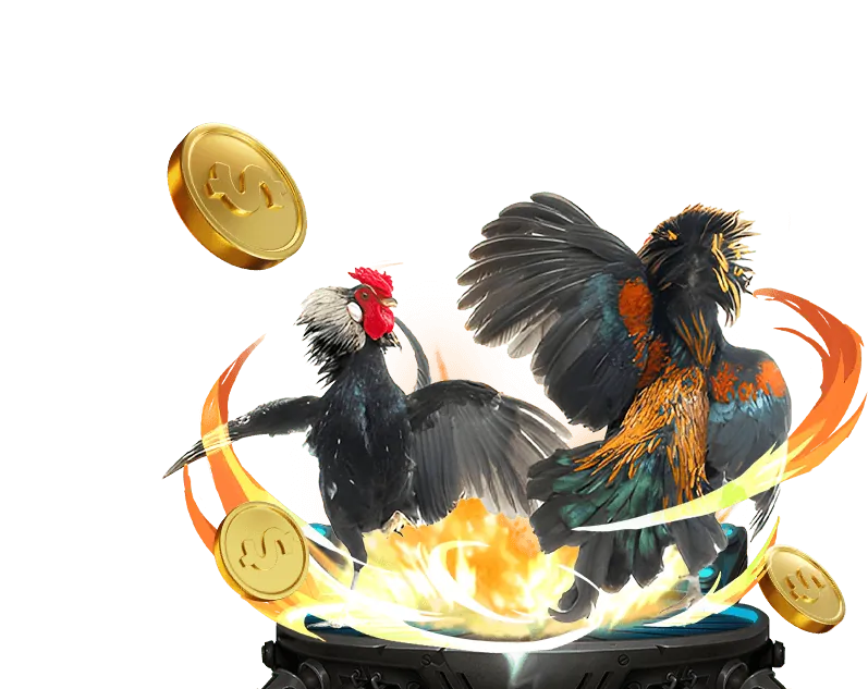 Tổng hợp các loại game và quy tắc tại okking33